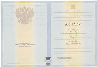 Диплом ПГПУ им. В.Г. Белинского 2010-2011 годов